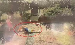 Karadeniz'de pitbull dehşeti: Küçük kızı yere savurdu, köpeğini ise ağır yaraladı