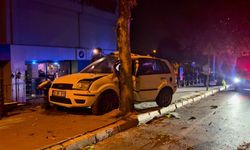 Kontrolden çıkan otomobil ağaca çarparak durabildi: 1 yaralı