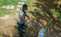 Larva ilaçlaması ve temizlik çalışmaları sürüyor