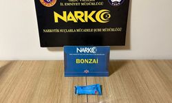 Ordu'da yasaklı madde operasyonlarında 2 tutuklama