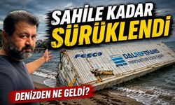 Fatsa’da Balkona Çıktı Denize Bakınca Şaşkına Döndü: Kıyıya Kadar Geldi