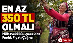 Yeni Parti'li Trabzon Milletvekili Sibel Suiçmez’den Fındık Fiyatı Çağrısı: “en Az 350 Tl Olmalı”