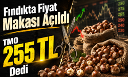 Fındık Fiyatları Alev Aldı: Üreticinin Gözü 24 Ağustos’ta