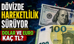 Döviz Piyasaları Hareketli: Dolar ve Euro’da Son Durum