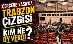 Vekiller Ayrıştı: Çerçeve Yasa’da Trabzon’dan 4 Kabul, 2 Ret