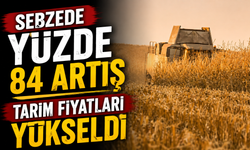Tarım-ÜFE Temmuzda Yükseldi: Sebze Fiyatlarında Artış Yüzde 84’ü Aştı