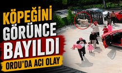 Ordu’da acı olay: Köpeğinin öldüğünü gören çocuk baygınlık geçirdi