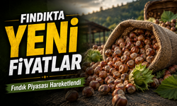 Fındık fiyatlarında kritik gün: TMO’da Giresun 255 TL