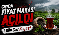 Çay fiyatlarında dikkat çeken fark: 1 kiloda makas açıldı