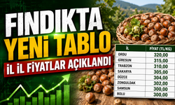 Fındık fiyatlarında makas açıldı: Bu şehirler de fındık fiyatları 300TL'ye ...