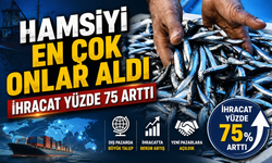 Türk hamsisine Avrupa’dan yoğun talep: En çok alan ülke belli oldu
