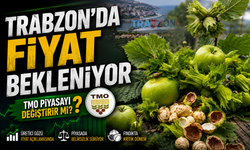 Güncel Fındık Fiyatları: TMO Alımları Başladı, Piyasa Karıştı