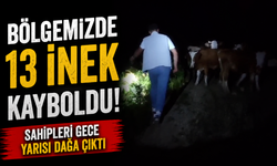 Gece yarısı dağa çıktılar: Saatler sonra izlerini buldular