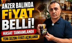 Anzer Balında Yeni Sezon Fiyatı Belli Oldu: Hasat Tamamlandı