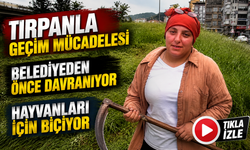 Rize’de Tırpanla Geçim Mücadelesi: “Nerede Ot Var Biz Oradayız”
