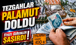 Palamut Bolluğu Tezgaha Yansıdı: Tanesi 125 TL’ye Kadar Düştü