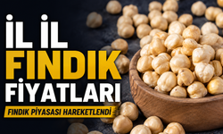 Fındık Piyasası Hareketlendi: Giresun’da Fiyat 250 TL’yi Gördü