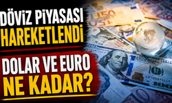 Döviz Piyasası Hareketlendi: Dolar ve Euro Yön Arıyor
