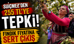 Sibel Suiçmez’den TMO’nun Fındık Fiyatına Sert Tepki