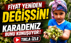 Ömer Fethi Gürer’den 250 Liralık Fındık Fiyatına Tepki: En Az 370 Lira Olmalı
