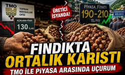 Fındıkta Fiyat Makası Açıldı: TMO ile Piyasa Arasında Büyük Fark