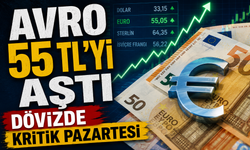 Dövizde Nefesler Tutuldu: Avro 55 TL’yi Aştı