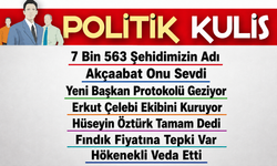 Fındık Fiyatı 250 TL Olarak Açıklandı: Arsinli Üreticiden Sert Tepki