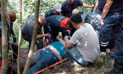 Giresun’da fındık toplarken yuvarlandı: Ahmet Cin yaralandı