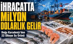 Doğu Karadeniz’den 22 Ülkeye Su Ürünü; İhracatta Milyon Dolarlık Gelir