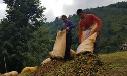 Trabzon’dan 8 Ayda 895 Milyon Dolarlık İhracat