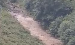 Giresun'da iki kız kardeşin ölümüne neden olan selin başlangıç anı kameraya yansıdı