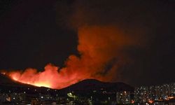 Başkentte Ağaçlık Alanda Korkutan Yangın: 1 kişi gözaltında