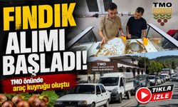Fındık alımı başladı: TMO önünde araç kuyruğu oluştu