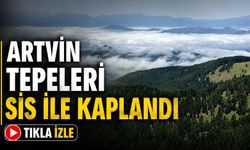 Artvin’in Yüksek Kesimleri Sisle Kaplandı: Dağ Zirveleri Gözden Kayboldu