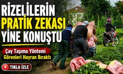 Rizelilerin Pratik Zekası Yine Konuştu; Çay Taşıma Yöntemi Görenleri Hayran Bıraktı