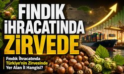 Trabzon Fındık İhracatında Zirvede: Türkiye Payı Yüzde 34,76