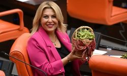Elvan Işık Gezmiş’ten Fındık Fiyatına Sert Tepki: “Üretici Yok Sayıldı”