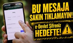 Sahte UETS E-Postalarına Dikkat: e-Devlet Şifreniz Bir Tıkla Çalınabilir