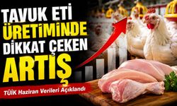 Tavuk Eti Üretiminde Dikkat Çeken Artış: TÜİK Haziran Verileri Açıklandı