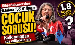 Sibel Suiçmez’den iktidara 1,8 milyon çocuk sorusu: Kalkınmadan söz edilebilir mi?