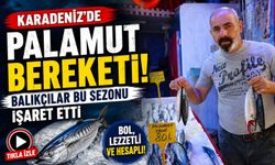Karadeniz’de Palamut Bereketi: Balıkçılar Bu Sezonu İşaret Etti