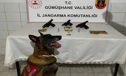 Kelkit’te Düğün Konvoyuna Operasyon: Evlerden Cephanelik Çıktı