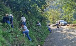 Giresun’da Örnek İmece: Hastaneye Giden Ailenin Fındığını 20 Köylü Topladı