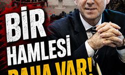 Bir Hamlesi Daha Var!