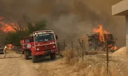 Kozan'da orman yangını kabusu: 7 ev yandı, 40 ev tahliye edildi