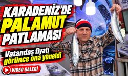 Karadeniz’de Palamut Patlaması; Vatandaş fiyatı görünce ona yöneldi