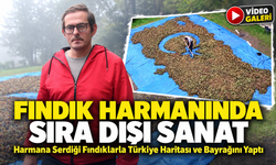Fındık Harmanında Sıra Dışı Sanat; Harmana Serdiği Fındıklarla Türkiye Haritası ve Bayrağını Yaptı