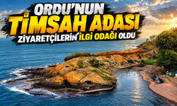 Ordu’nun yıllarca fark edilmeyen Timsah Adası şimdi ziyaretçi akınına uğruyor