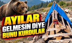 Rize’de mezarı ayılardan korumak için akılalmaz yöntem: Köpek sesi kurdular
