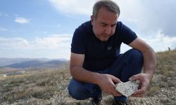 Bayburtlu öğretmenin doğa merakı fosil keşfine dönüştü